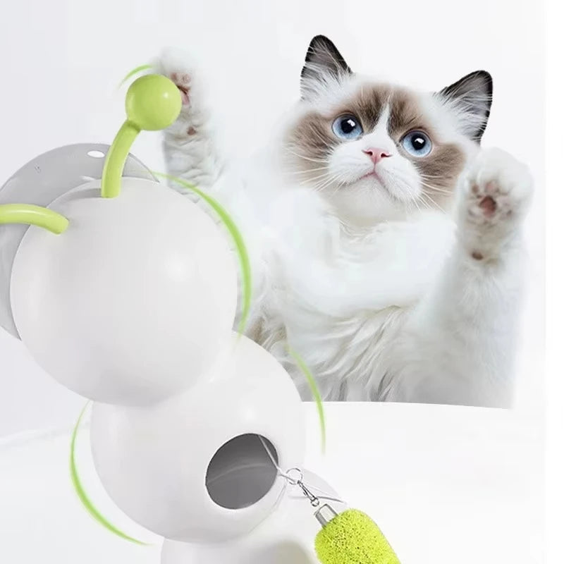 image chat enjouer avec jouet chat interactif forme chenille