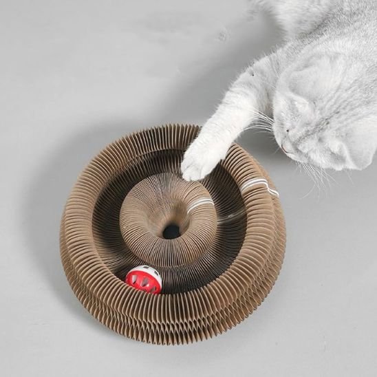 jouet pour chat comprenant une balle