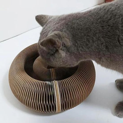 jouet pour chat interactif griffoir en sisal