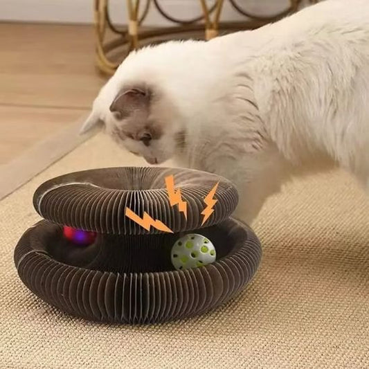 Jouet pour chat interactif un chat joue avec le griffoir