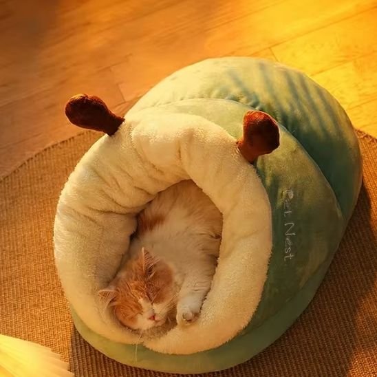 maison pour chat doux