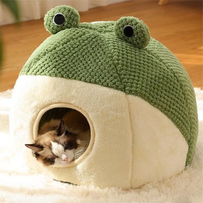 maison pour chat grenouille