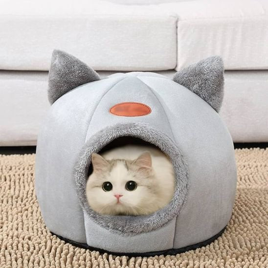 Maison pour chat grotte