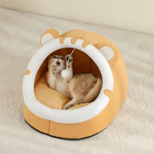 maison pour chat orange