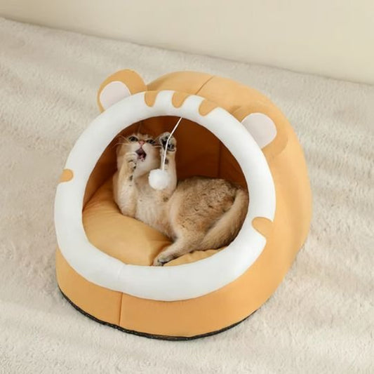 maison pour chat orange