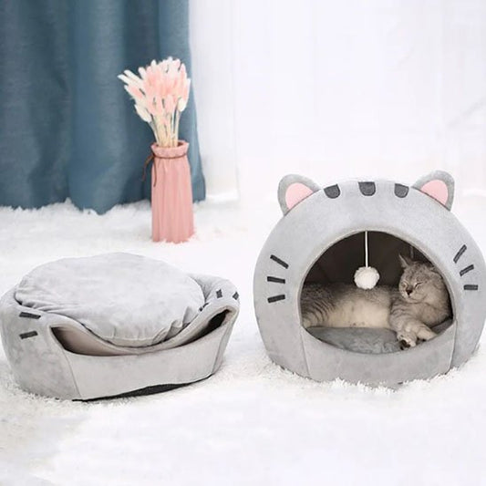 maison pour chat pliable