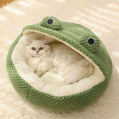 maison pour chat semi-ferme