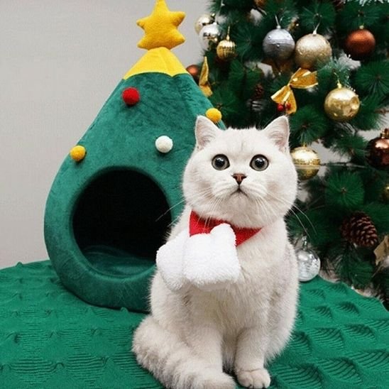 niche pour chat cabane