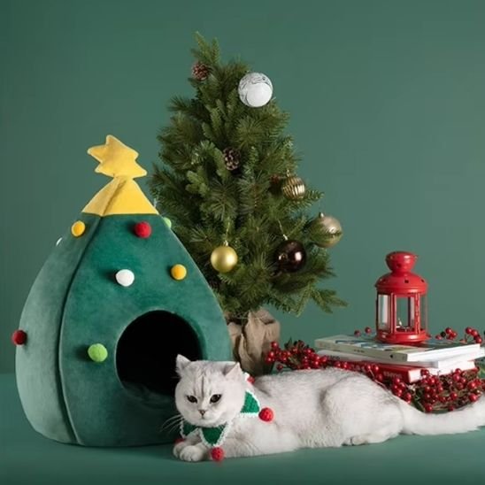 niche pour chat interieur