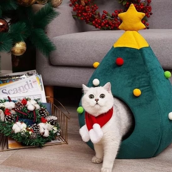 niche pour chat salon