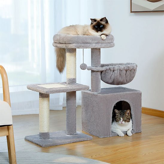petit arbre a chat​ deux chats se prelassent