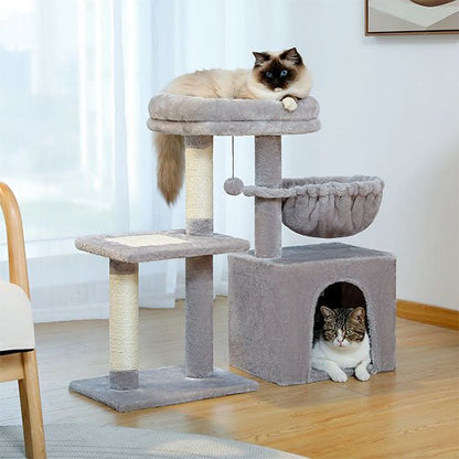 petit arbre a chat​ deux chats se prelassent