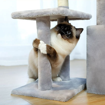 petit arbre a chat​ un chat enlace le poteau