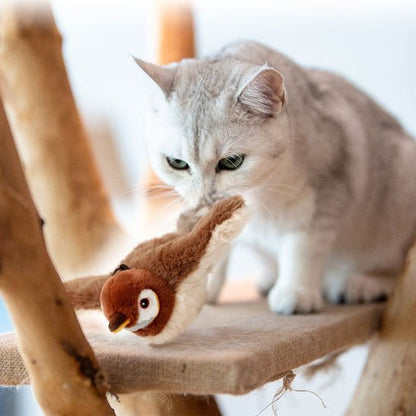 un chat blanc joue avec jouet chat interactif oiseau