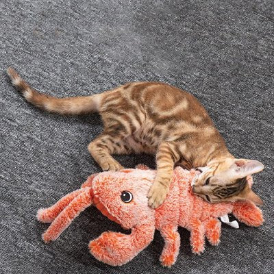 un chat joue avec la peluche pour chat forme homard