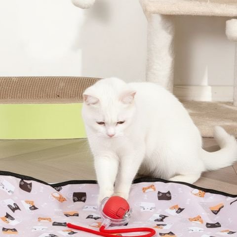 un chat joue avec le jouet chat interactif
