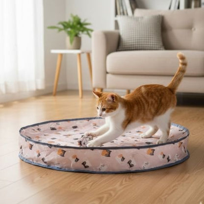 un chat joue sur la pochette jouet chat interactif