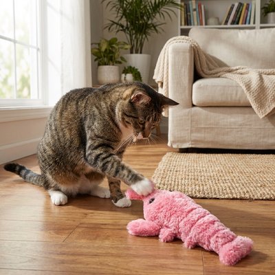 un chat touche la peluche pour chat  
